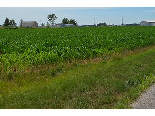 Property photo 106 - LAND AUCTION - 215+/- ACRES OFFERED IN 6 TRACTS IN VAN WERT COUNTY, OHIO